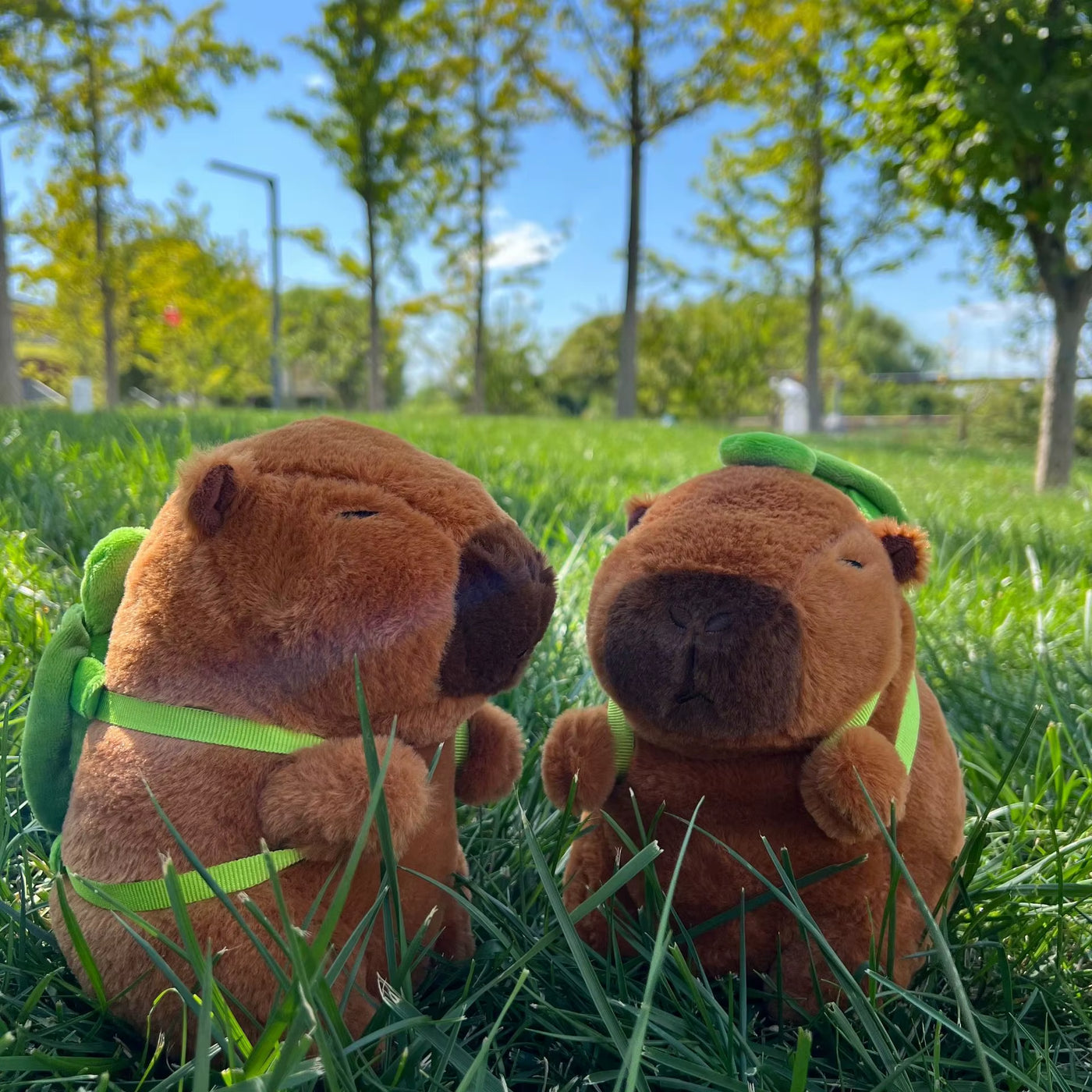 New 21Cm Capybara Plush Toy Simulation Capibara Anime Fluffty Toy Cute Soft Stuffed Animals Doll Plush Christmas Gifts for Kids